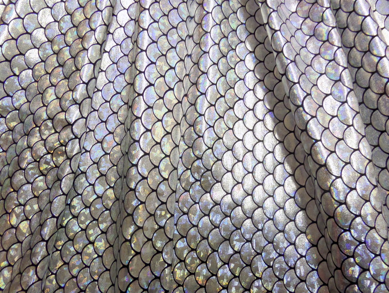 10.Silver Fish Scale Hologram Foil
